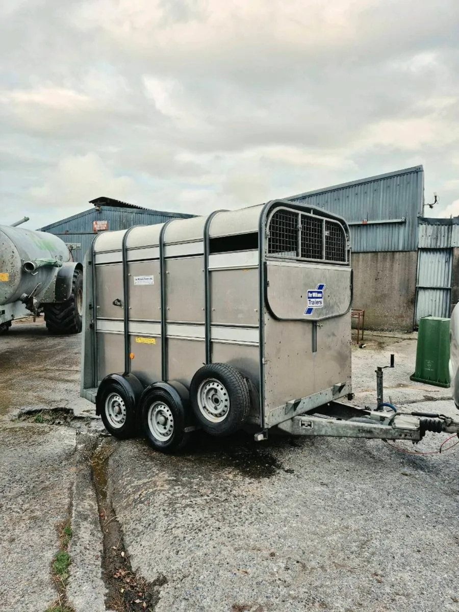 Ifor williams 8x5 - Image 4