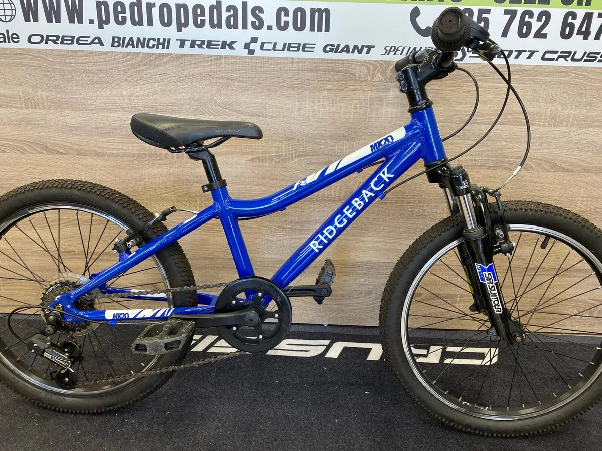Ridgeback MX 20 - Image 2