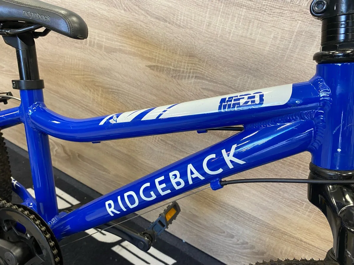 Ridgeback MX 20 - Image 3