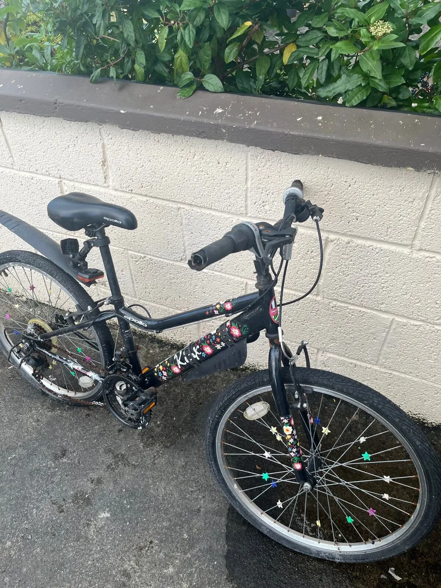 Bike - Image 2