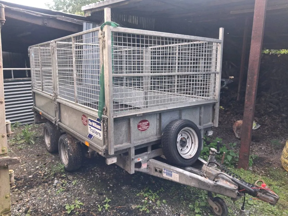 10Ft by 5Ft 6 Ifor Williams Trailer - Image 1