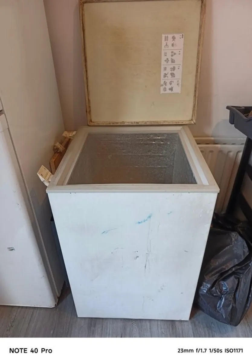 Small Chest Freezers (2) - Image 1