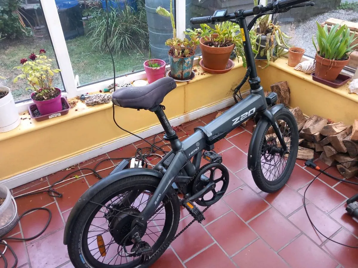 Electric Bike - Image 2