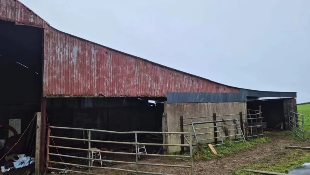 Farm Shed Repairs - Image 2