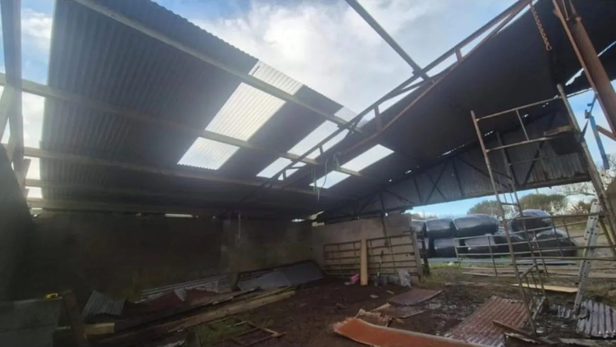 Farm Shed Repairs - Image 3