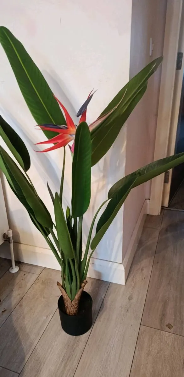 Large artificial plant