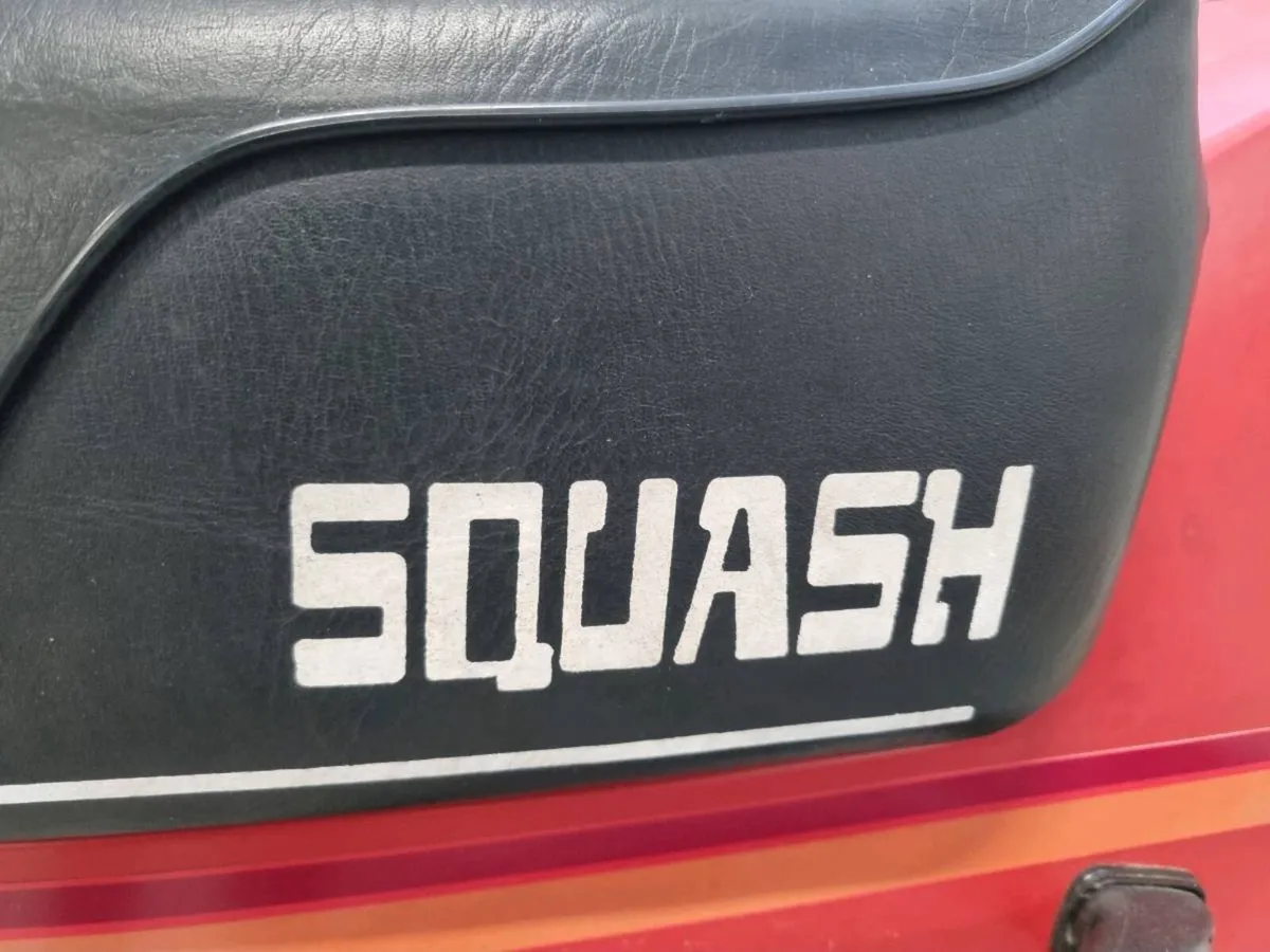 Honda Squash - Image 4