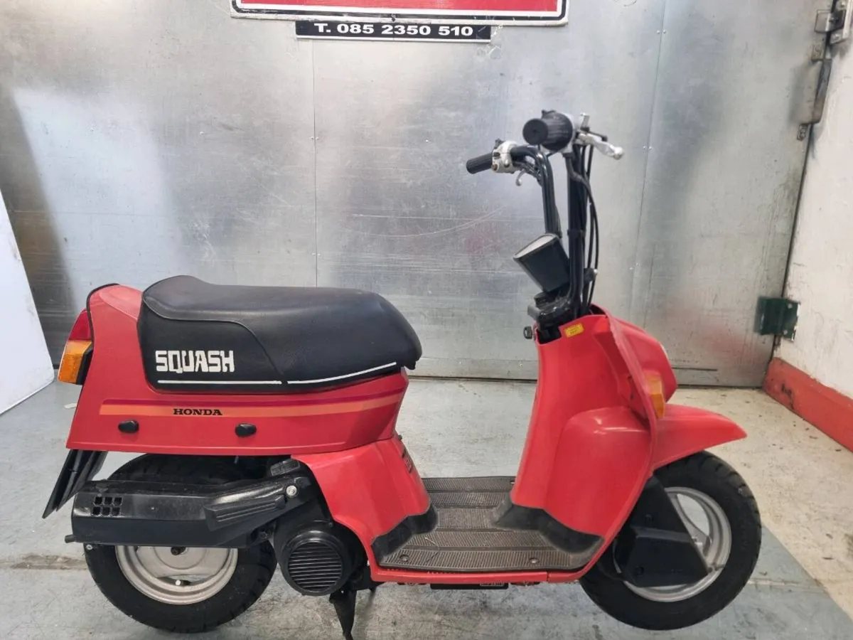 Honda Squash - Image 1