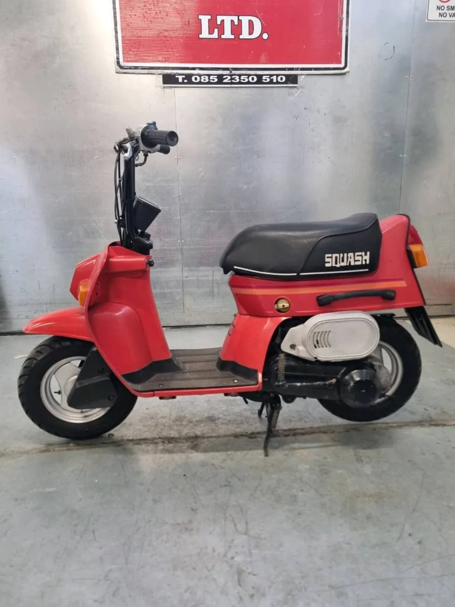 Honda Squash - Image 2
