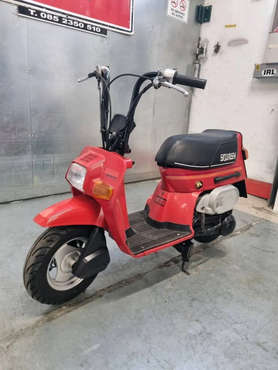 Honda Squash - Image 3