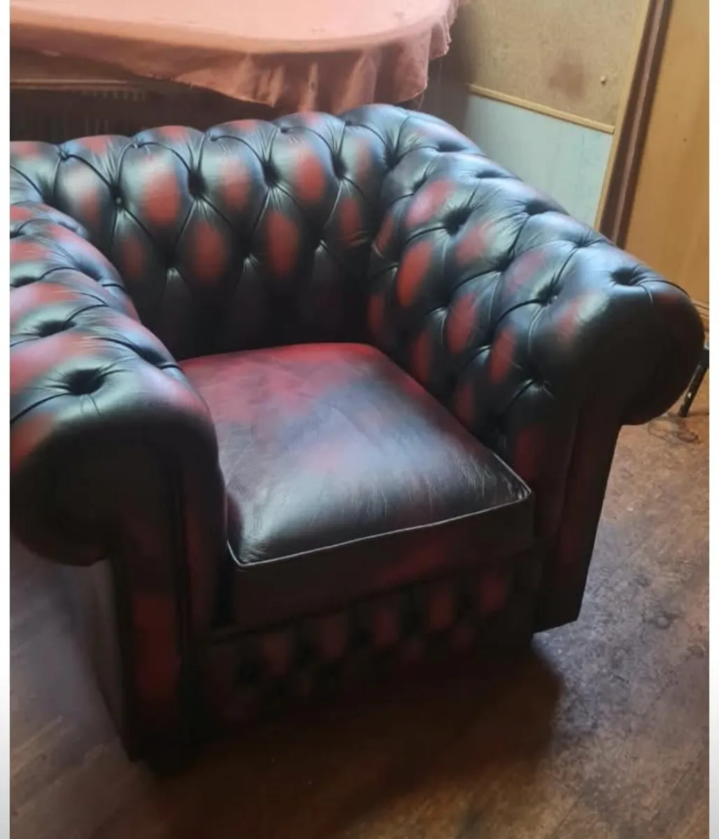 Chairs club & winged CHESTERFIELDS - Image 1
