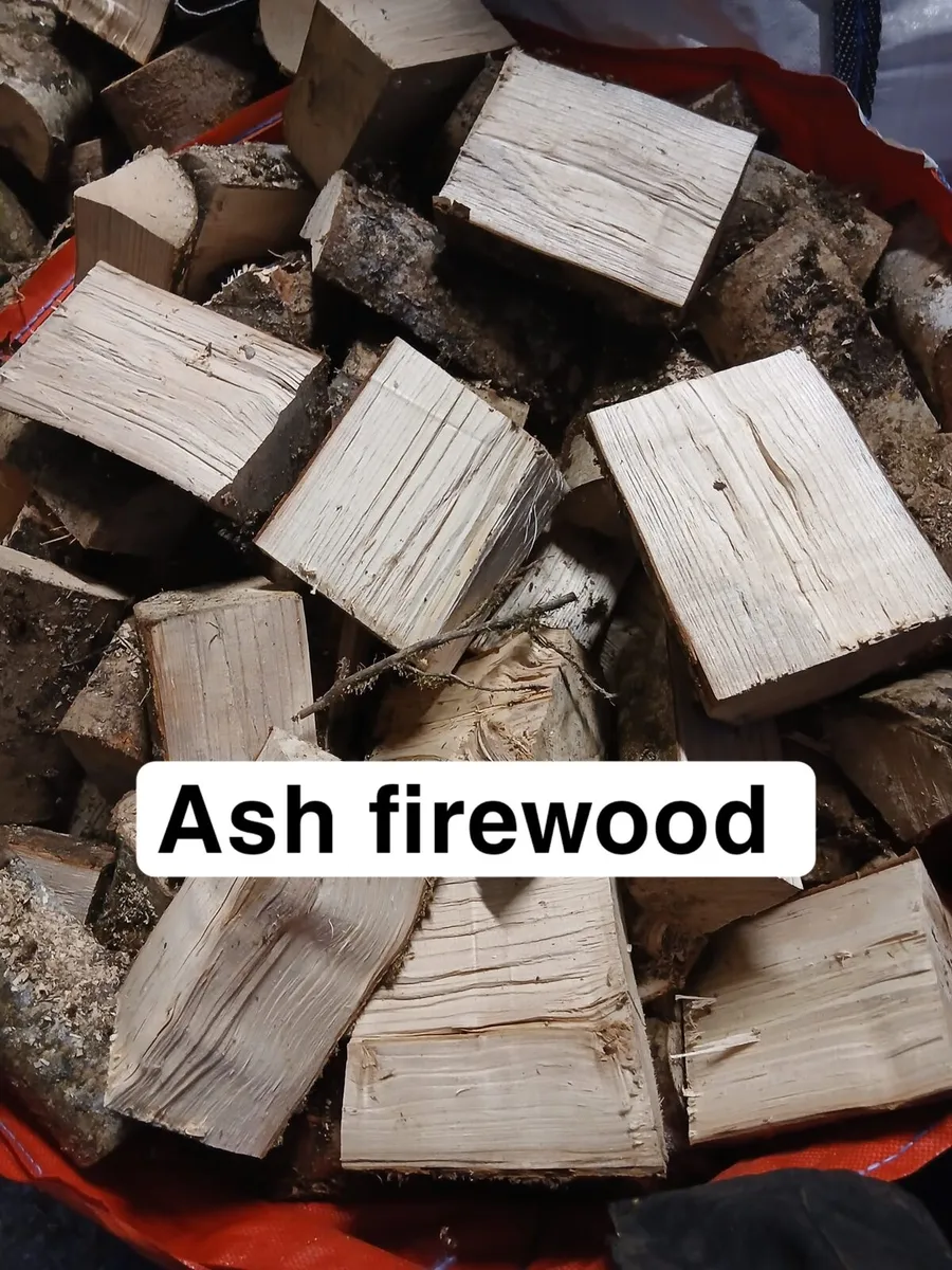 Ash firewood - Image 1