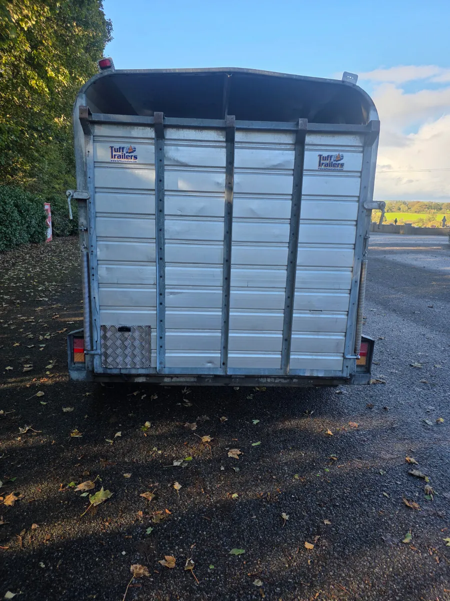 12ft tuff mac cattle trailer - Image 3