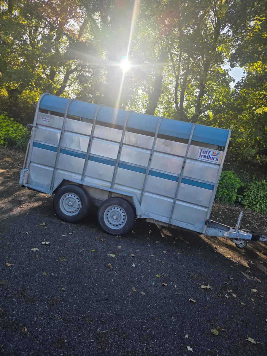 12ft tuff mac cattle trailer - Image 4