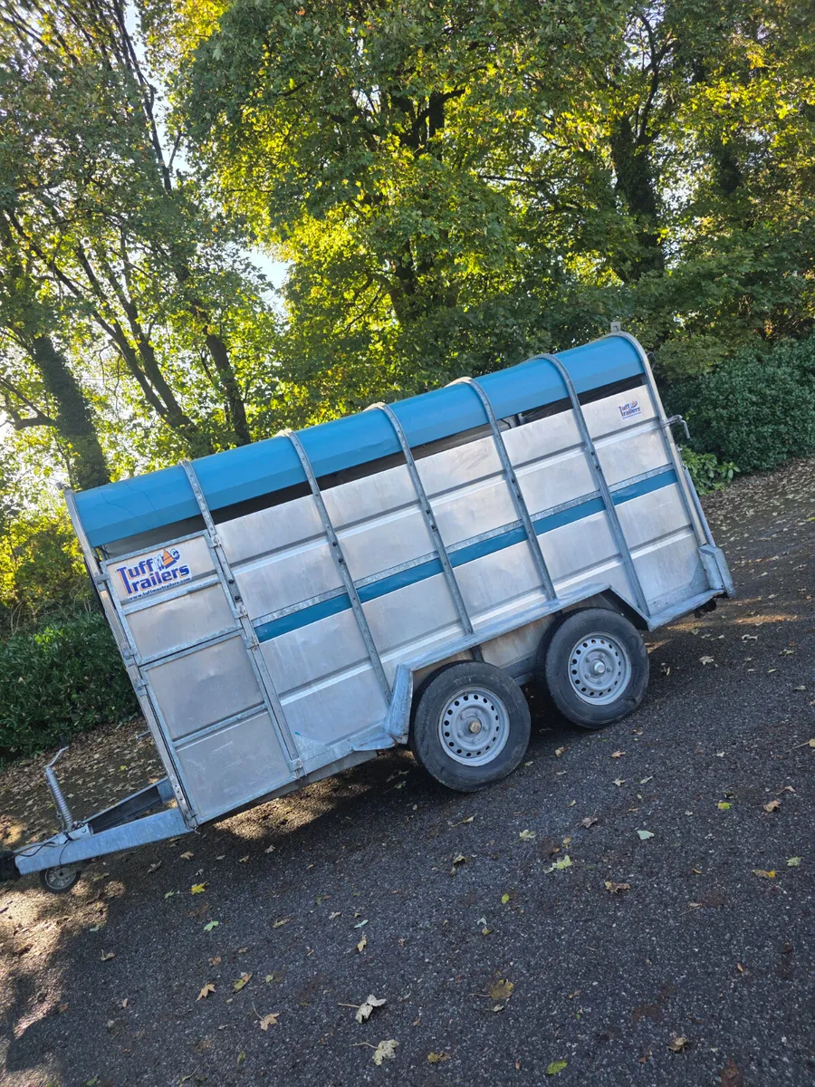 12ft tuff mac cattle trailer - Image 1