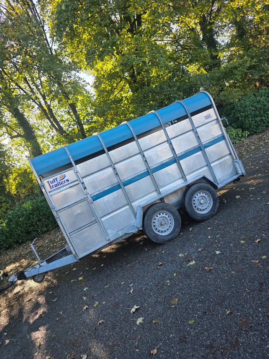 12ft tuff mac cattle trailer - Image 2