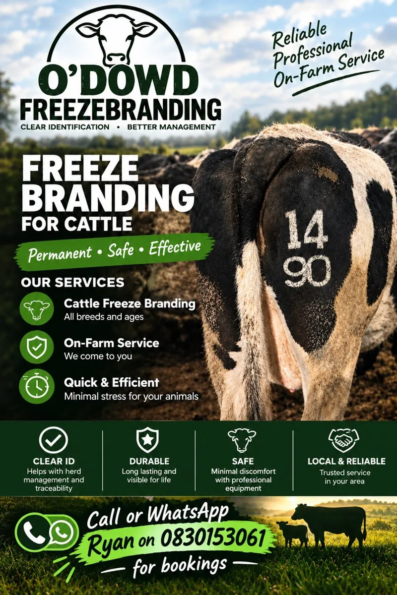 Freeze branding