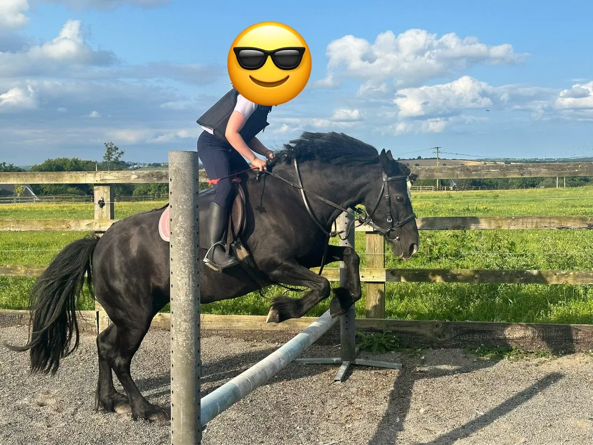 Pony - Image 2