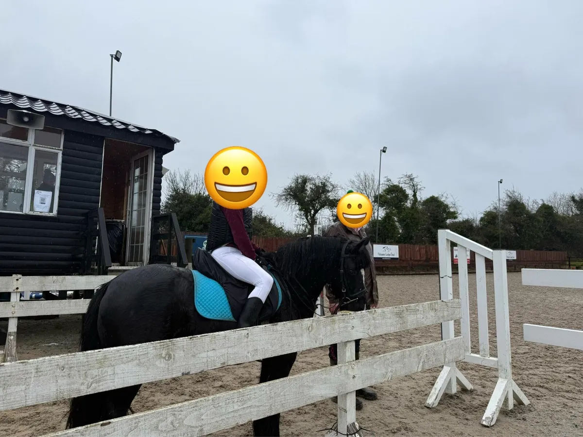 Pony - Image 4