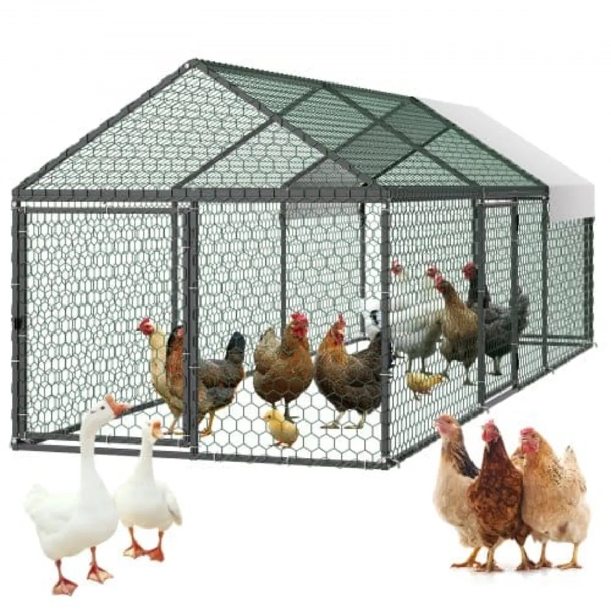 Metal Chicken Coop for 6-8 Chickens 1 x 3 x 0.99 m - Image 1