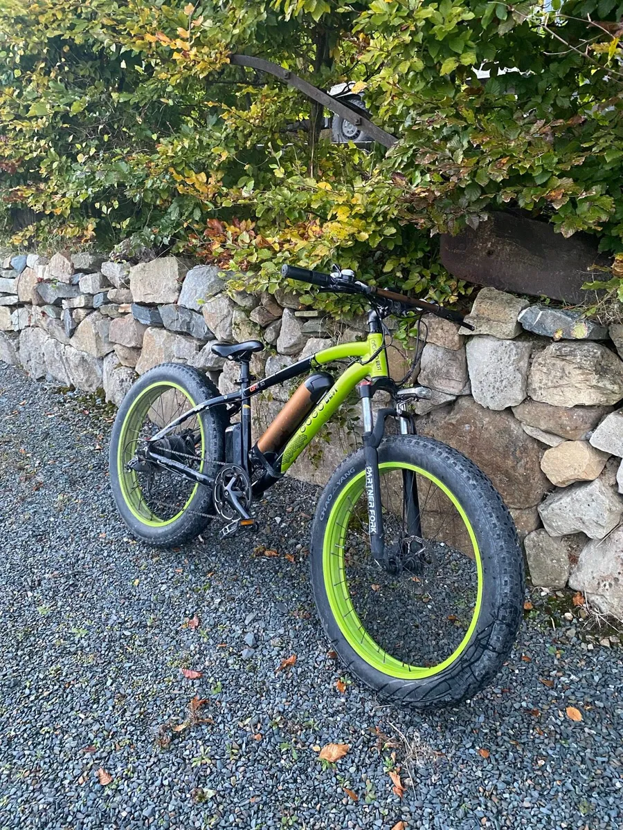 E-Bike - Image 3