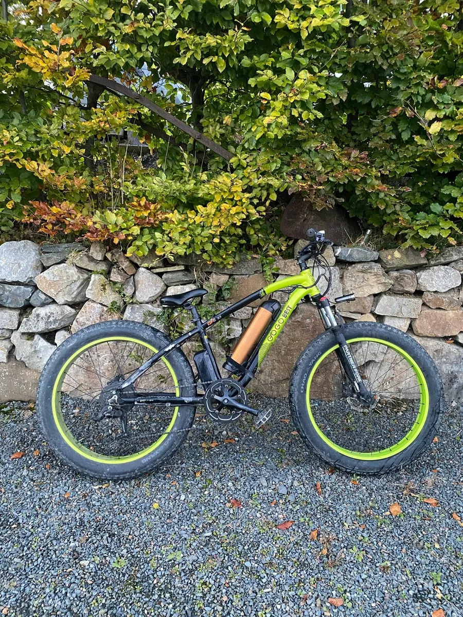 E-Bike - Image 1