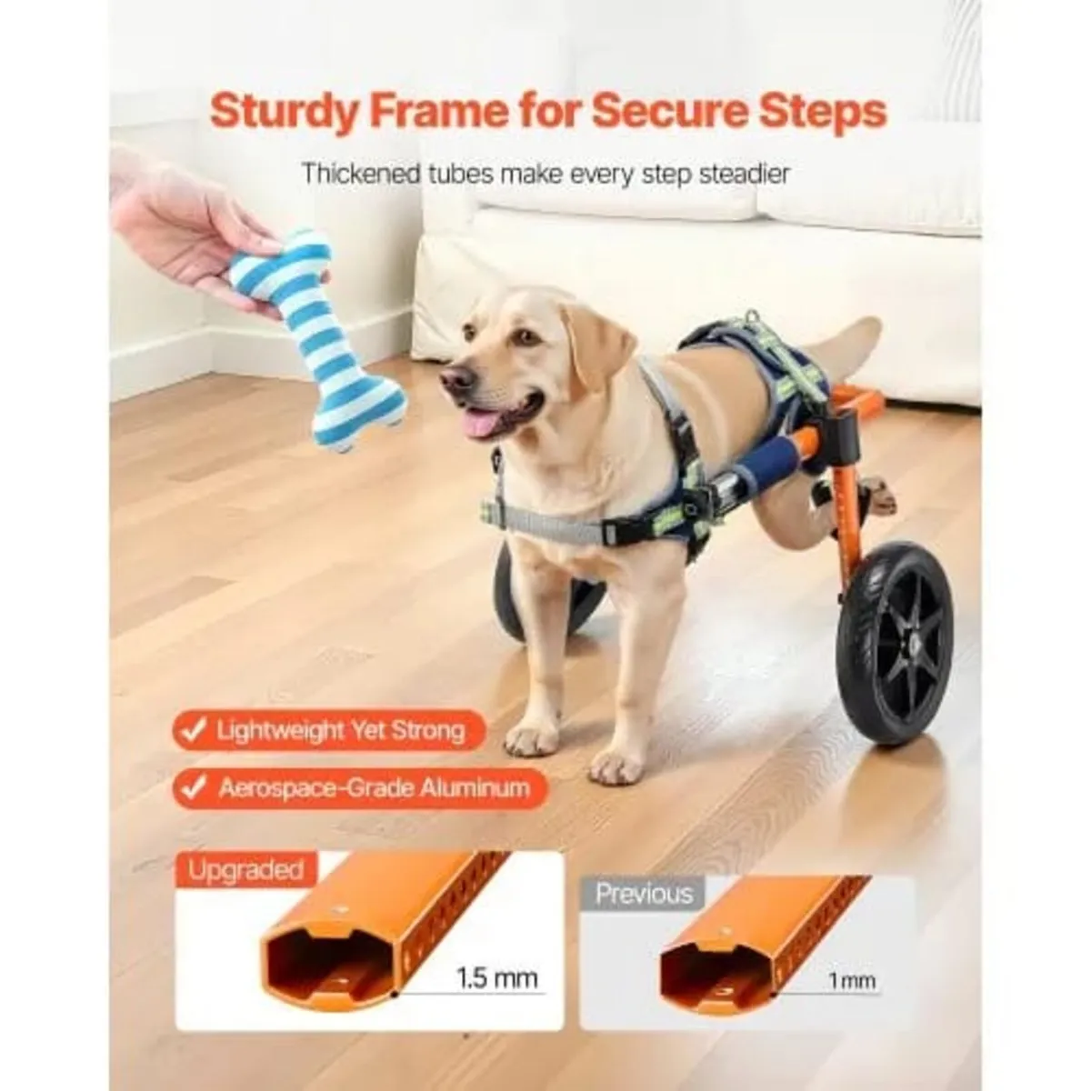 Dog Wheelchair for Back Legs, Lightweight 2 Wheels - Image 4