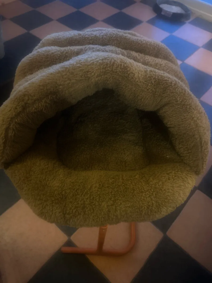 Dog bed and ramp - Image 1
