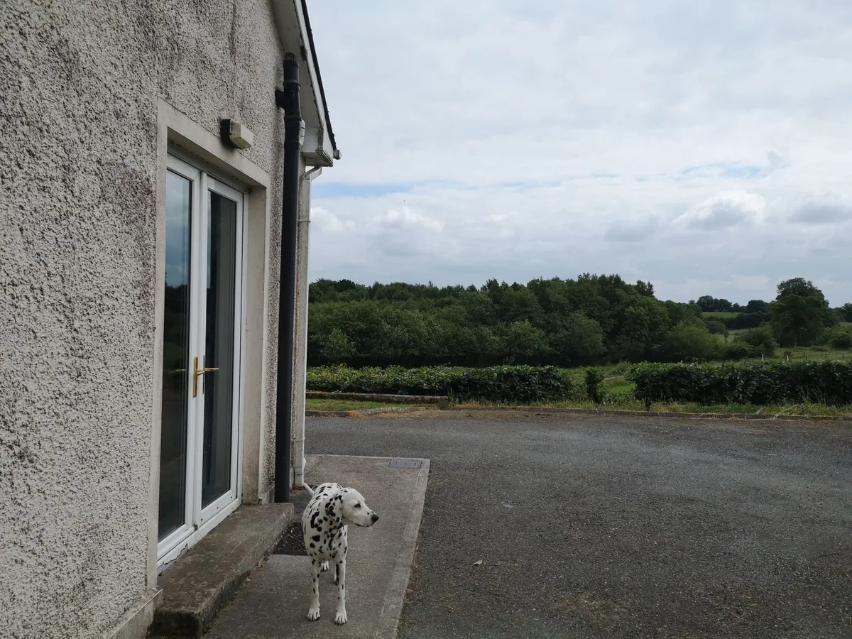 Flat available - Image 3