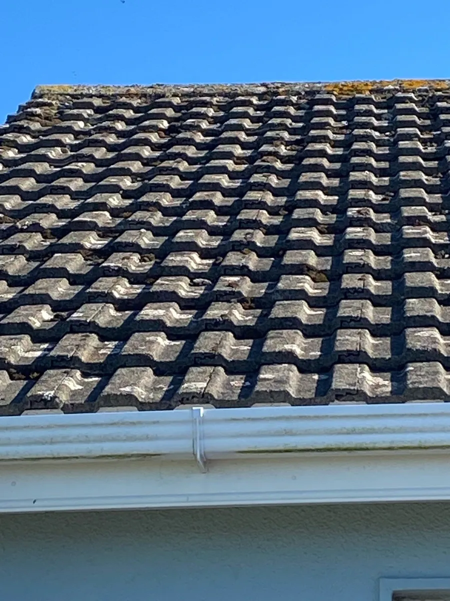 Roof tiles + Roof trusses - Image 1