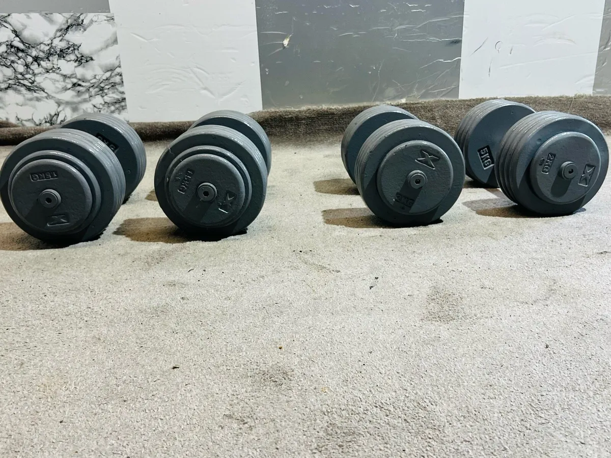 2X 44- 2 X 47.5 kg DUMBBELL - Image 3