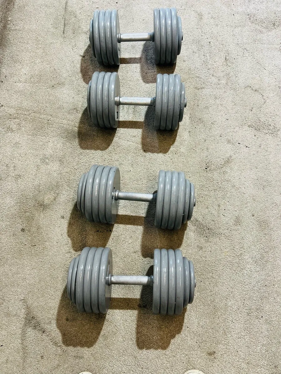 2X 44- 2 X 47.5 kg DUMBBELL - Image 4