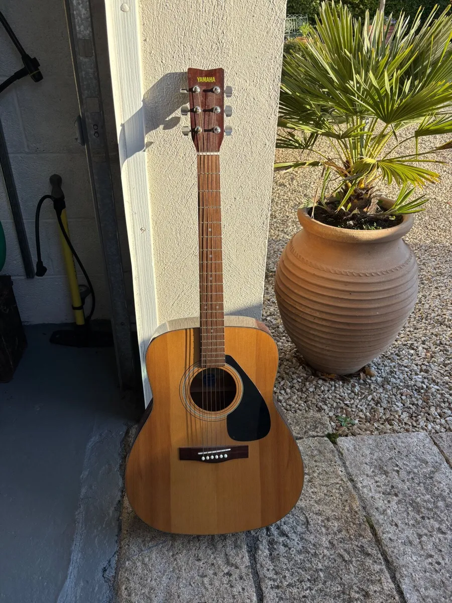 Guitar