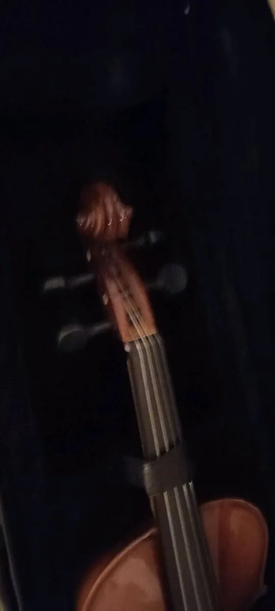 Violin - Image 3
