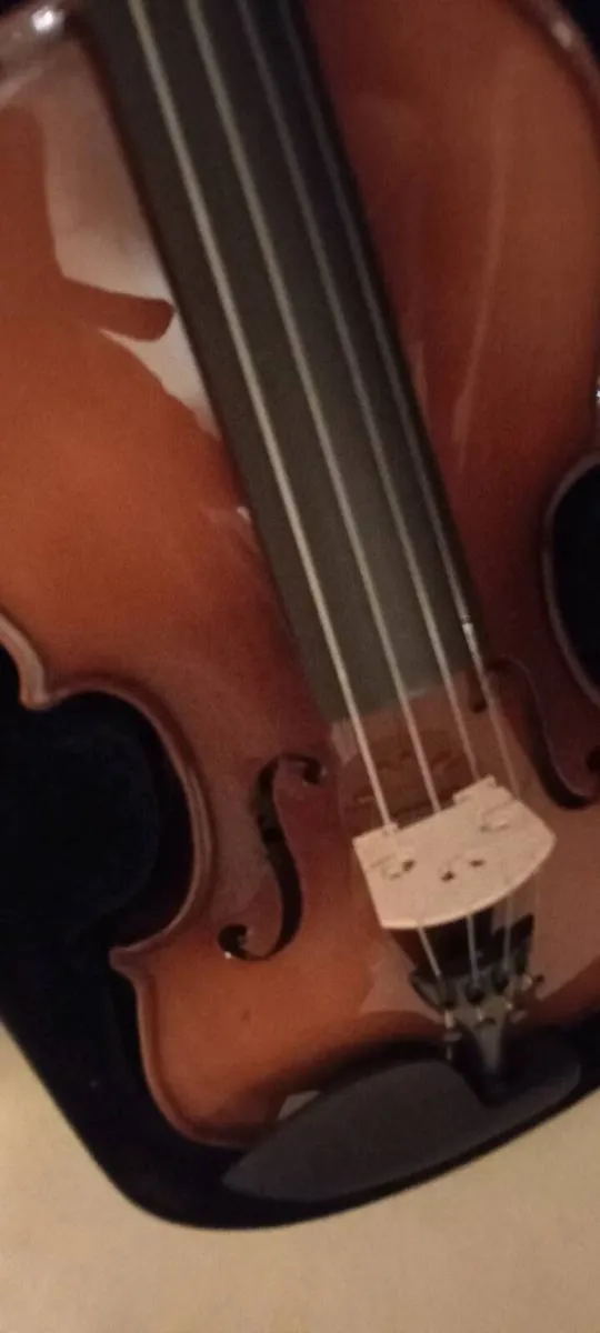 Violin - Image 4