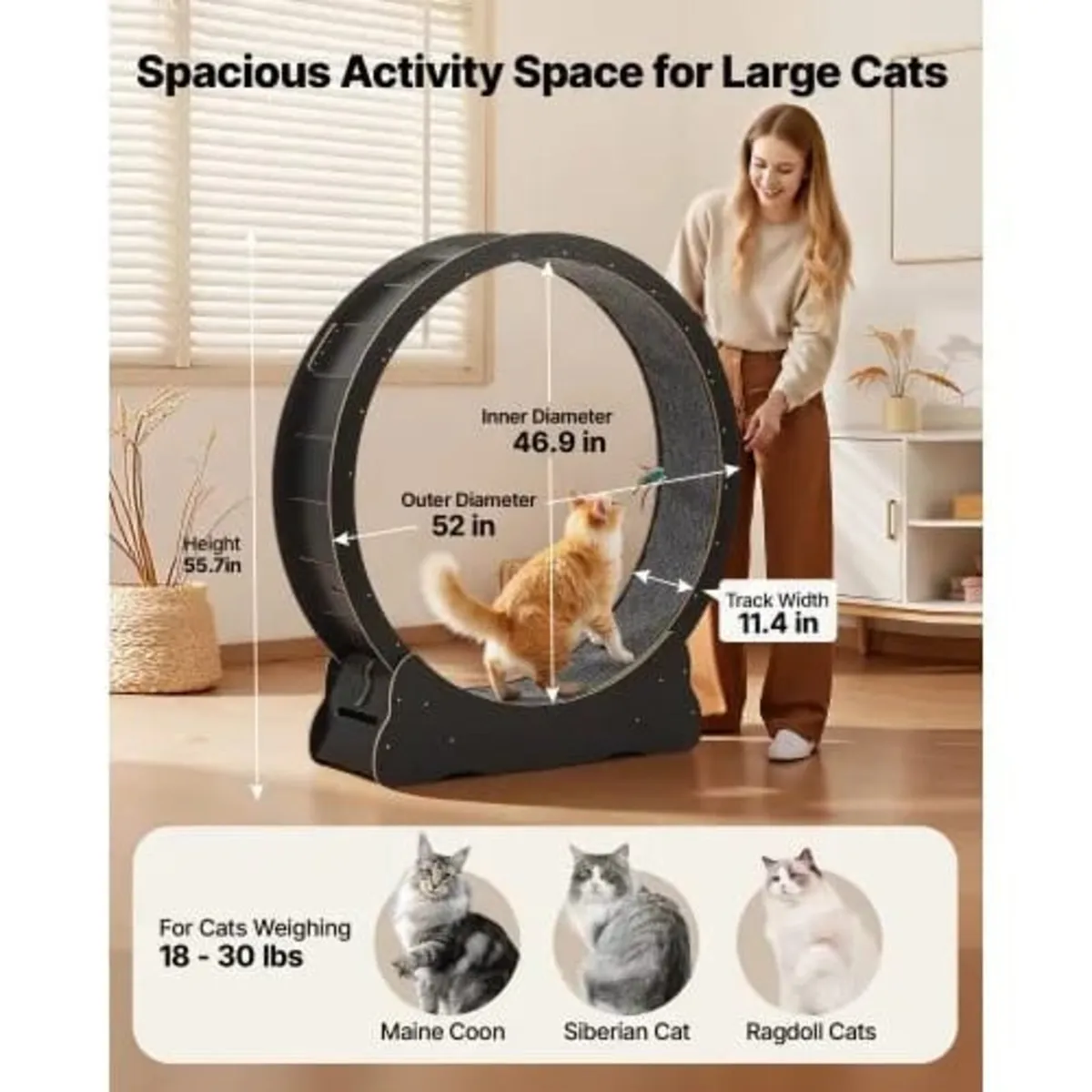 Cat Exercise Wheel, 132cm Wooden Cat Running Wheel - Image 4