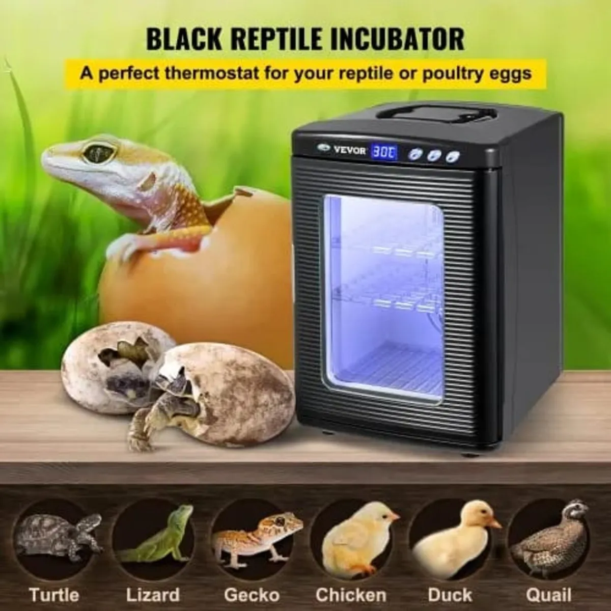Black Reptile Incubator 25L Scientific Lab Incubat - Image 4
