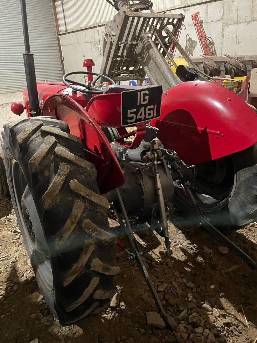 Massey Ferguson 35 - Image 2