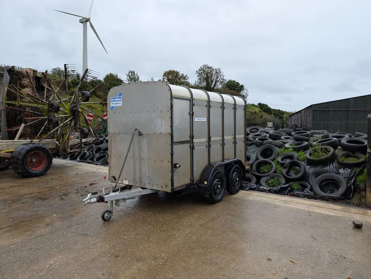 Ifor Williams 10 x 5 Cattle Sheep Trailer - Image 1