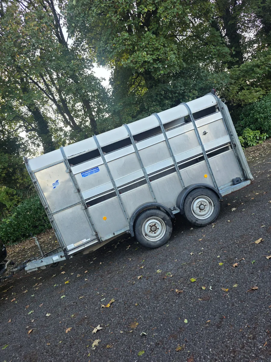 12ft ifor Williams livestock trailer - Image 1
