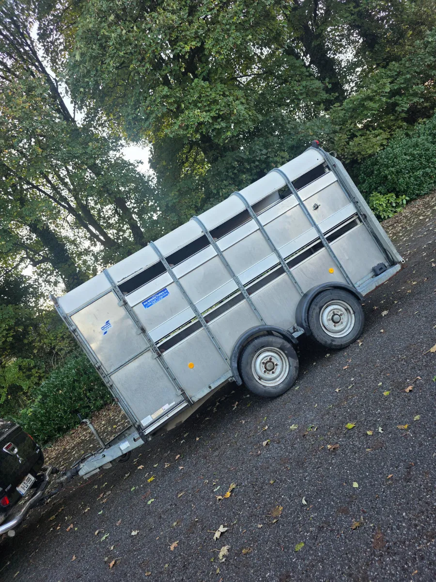 12ft ifor Williams livestock trailer - Image 3