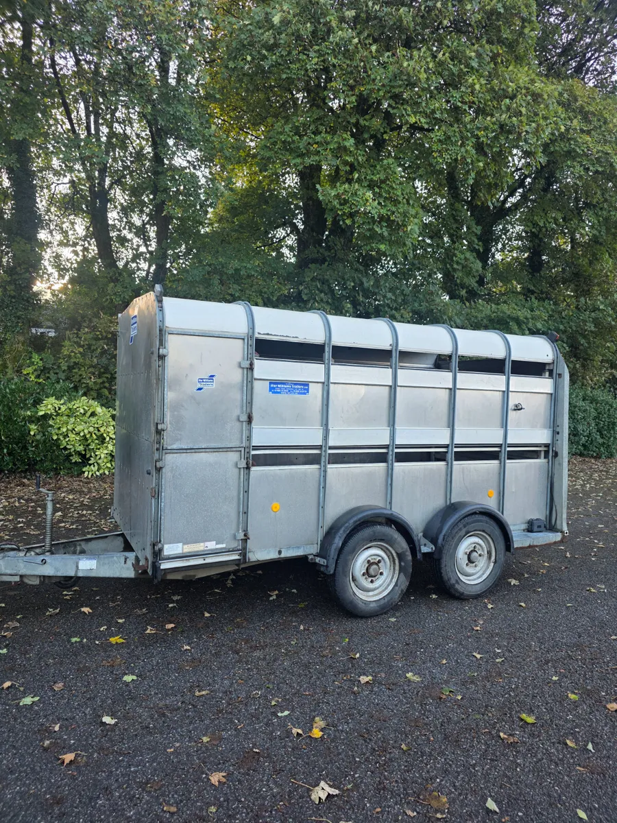 12ft ifor Williams livestock trailer - Image 4