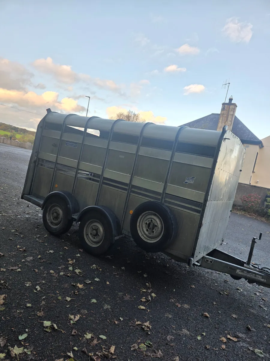 12ft ifor Williams livestock trailer - Image 2