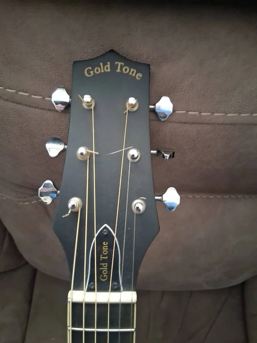 Gold Tone Mando/Guitar. - Image 2