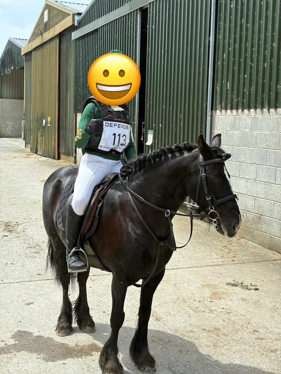 Pony - Image 1