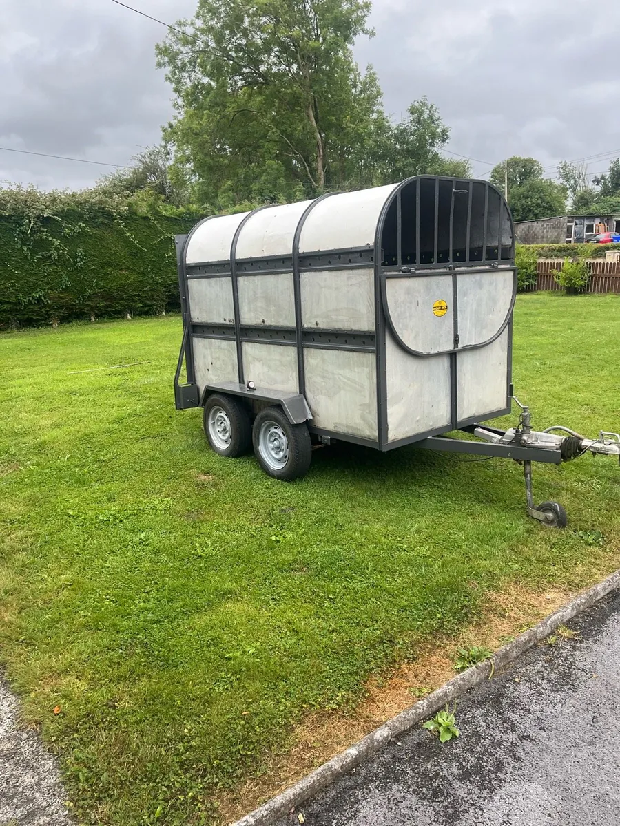 Dooley cattle trailer - Image 1
