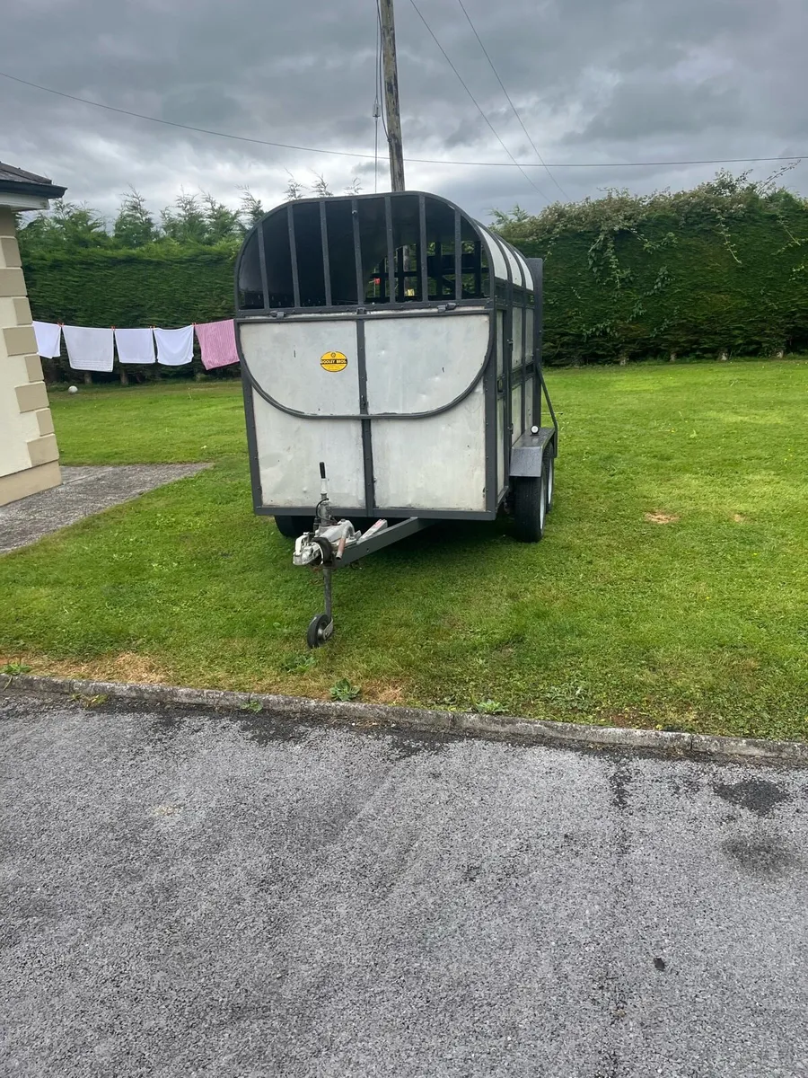 Dooley cattle trailer - Image 2