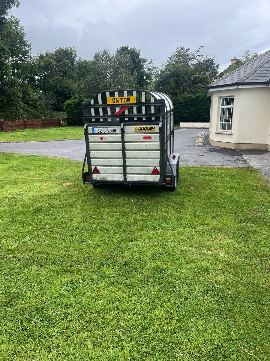 Dooley cattle trailer - Image 4
