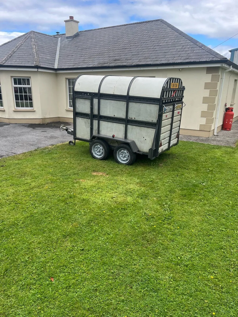 Dooley cattle trailer - Image 3