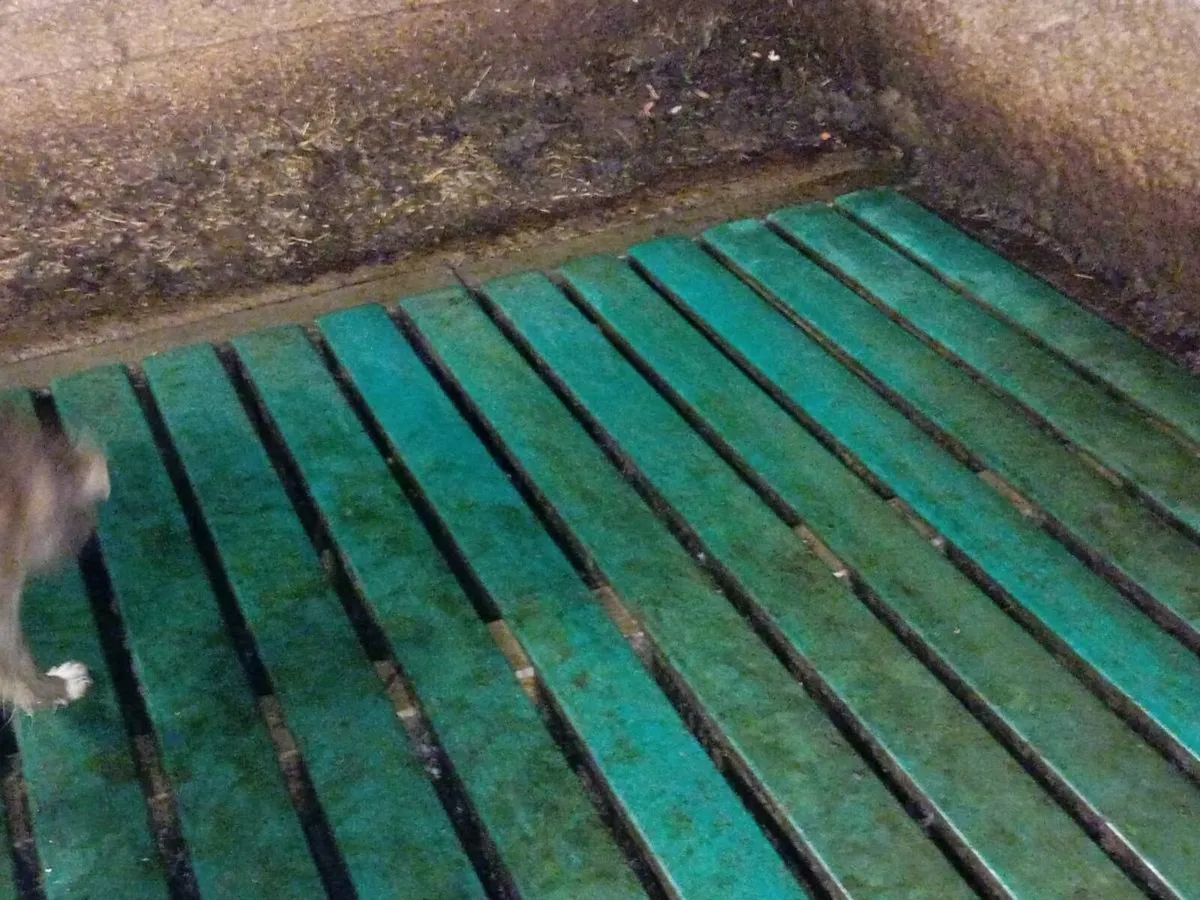 Slats mats - Image 2